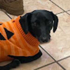 Meet your Posher, Abel